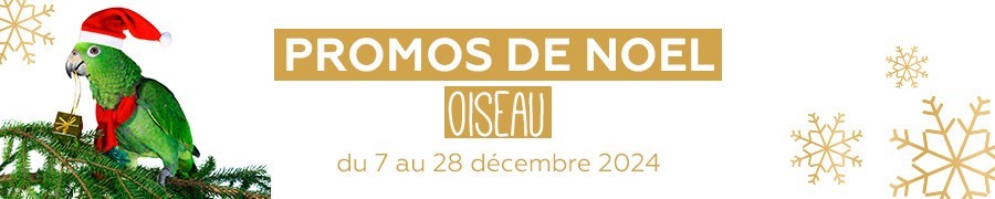 Univers Oiseaux