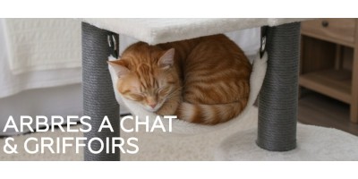→ Tous nos arbres à chat au meilleur prix !