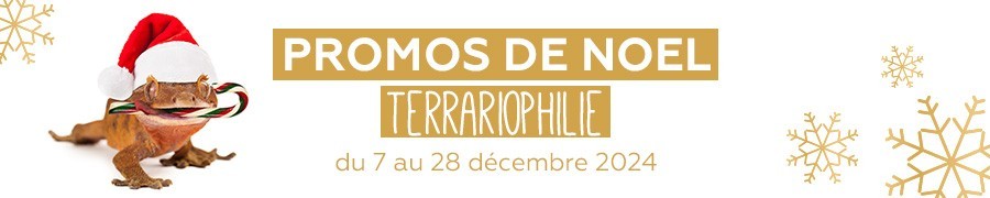 Univers Terrariophilie