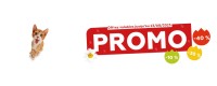 Promos de l'été 2025 - Chat