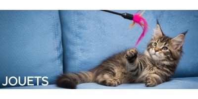 JOUET POUR CHAT