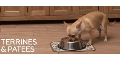 Terrines & pâtés - boites & sachets pour chien
