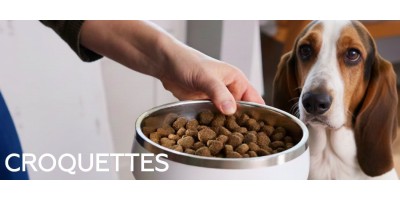 → Croquettes pour chien - Choix complet pour nos amis à quatre pattes