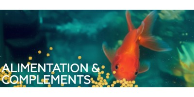 Alimentation & compléments pour aquarium d'eau douce