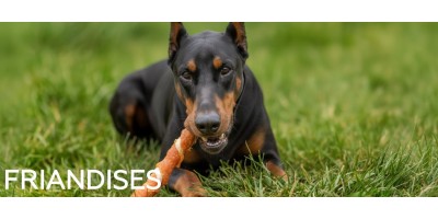 → Friandises pour chien, os à mâcher & biscuits au meilleur prix