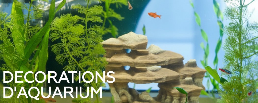 Décoration d’aquarium pour aquarium d'eau douce