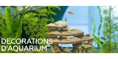 Décoration d’aquarium pour aquarium d'eau douce
