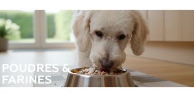 Poudres & farines - Compléments pour chien