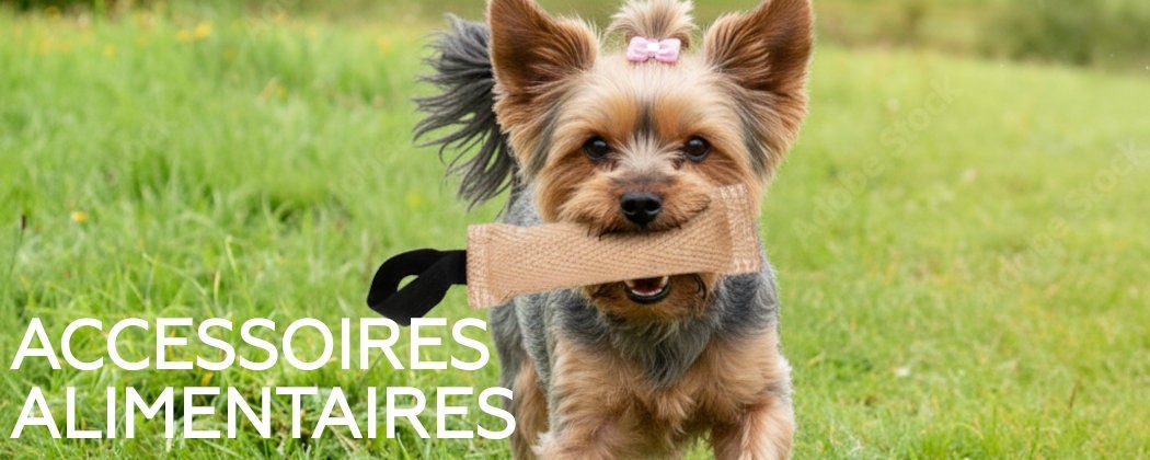 Accessoires alimentation pour chien