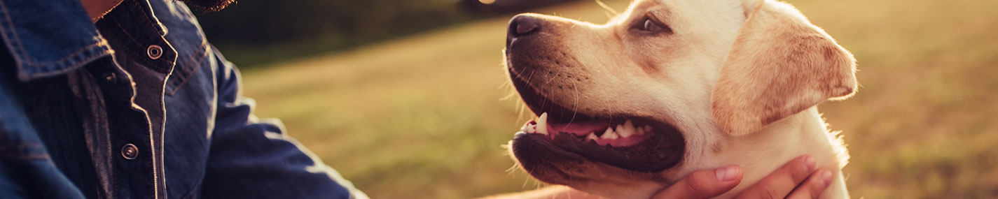 Pelles - Accessoires alimentation pour chien