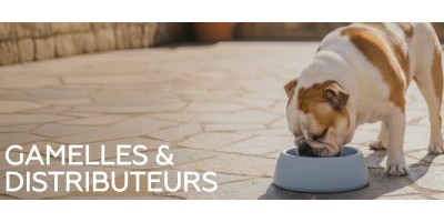 Art de la gamelle pour chiens