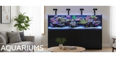 Aquariums pour aquarium d'eau de mer