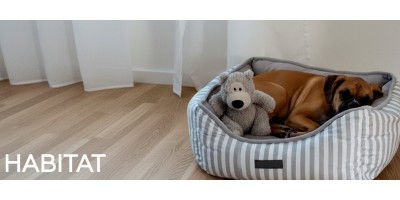 Habitats & équipements pour chien - Niches pour chien au meilleur prix