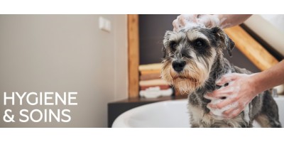Toilettage pour chien - Accessoires et tondeuses pour chien