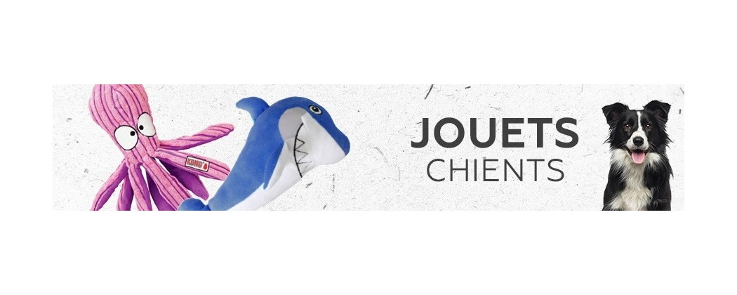 Jouets pour chien - Accessoires de qualité au meilleur prix !