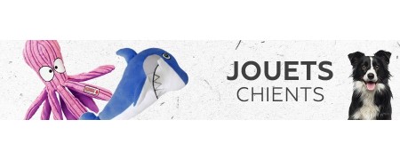 Jouets pour chien - Accessoires de qualité au meilleur prix !