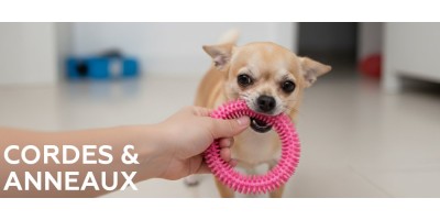Cordes & anneaux - Jouets pour chien