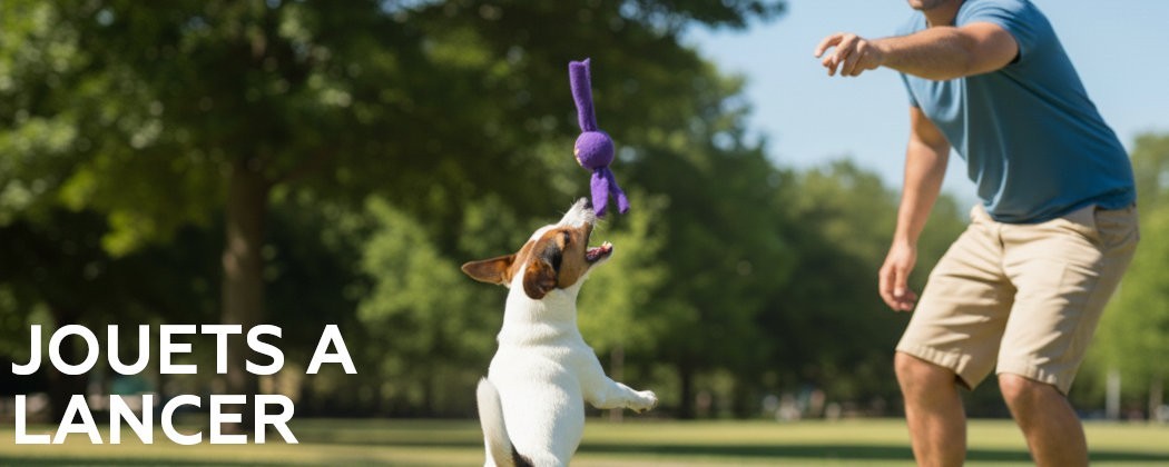 Frisbees - Jouets pour chien