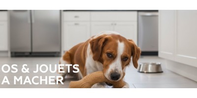 Os & jouets à mâcher - Jouets pour chien