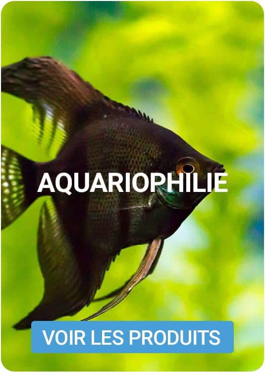 catalogue aquariophilie