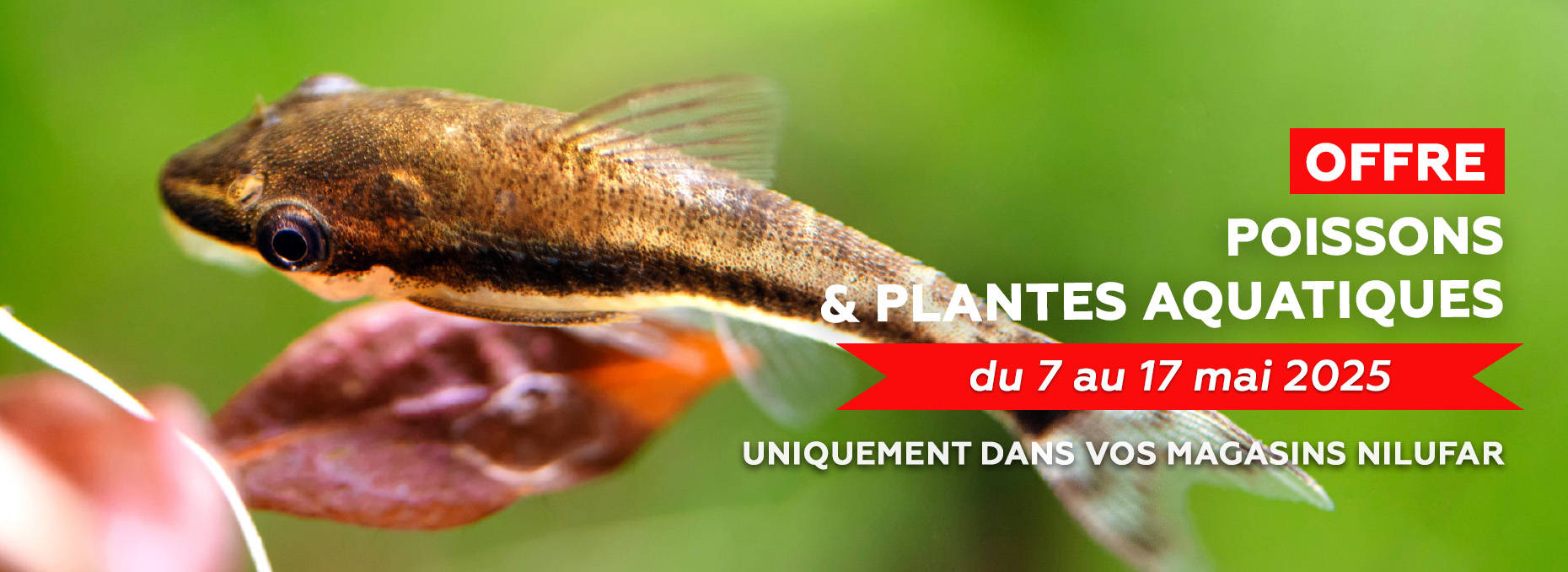 Bannière slider site copie.jpg