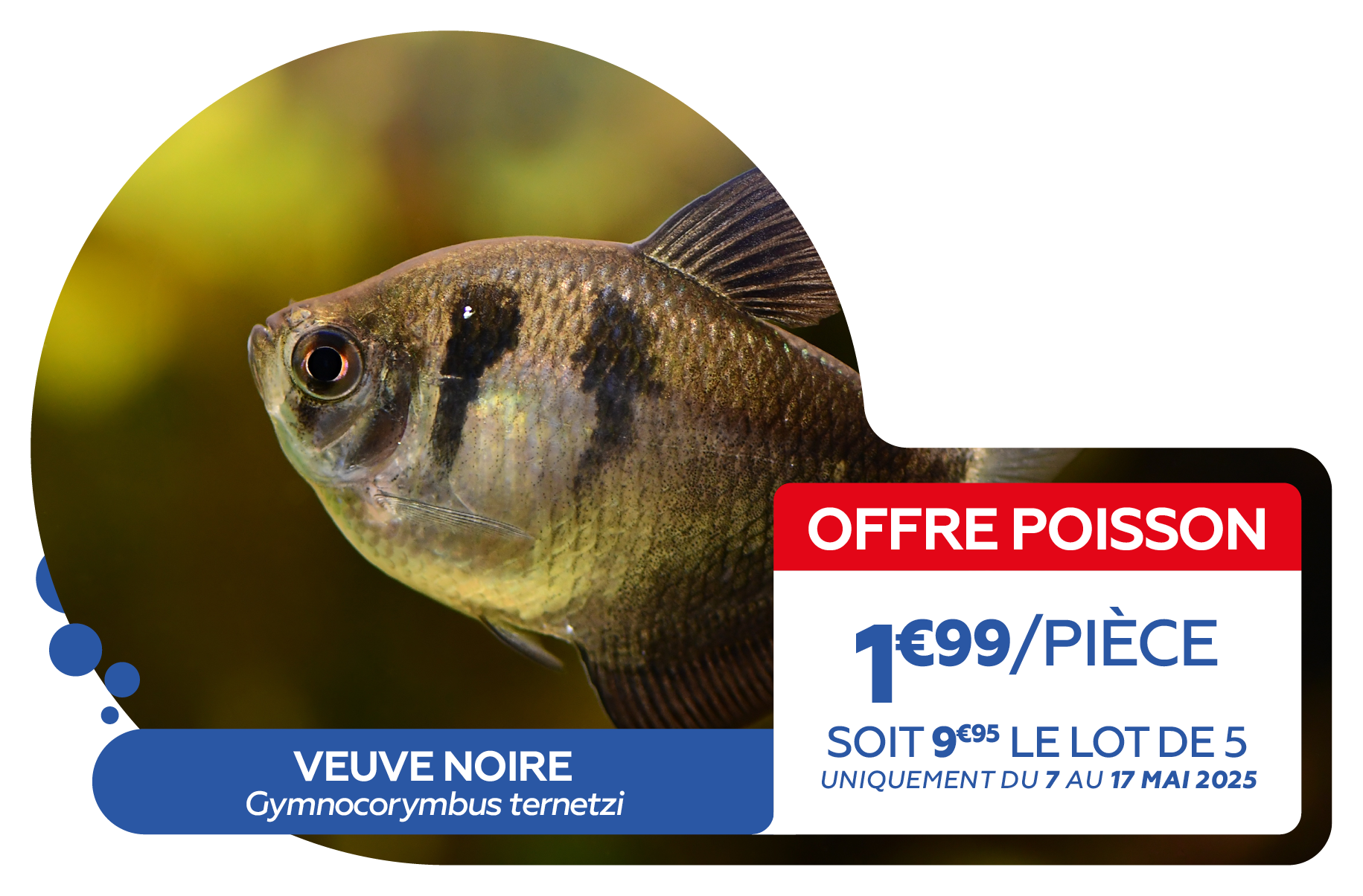02 - OFFRE POISSONS.png