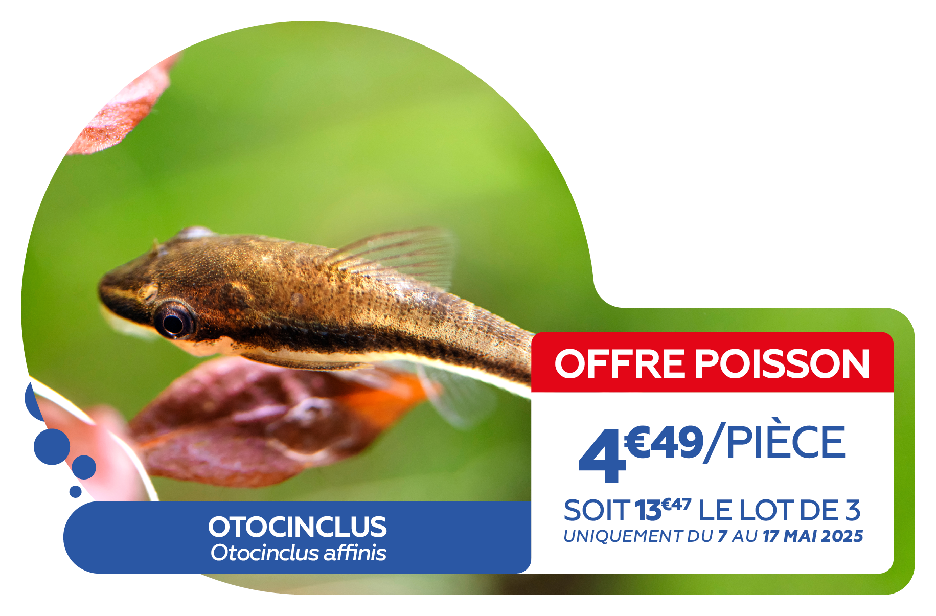 Offre poissons MARS 20258.png
