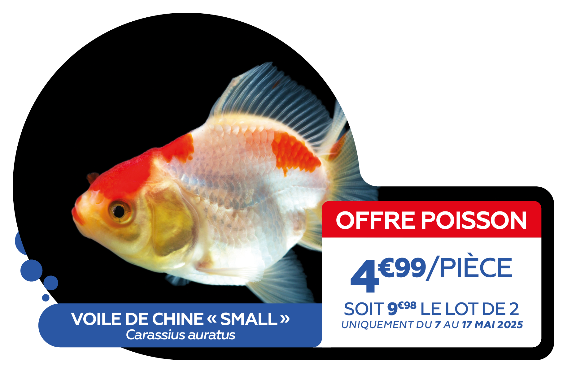 02 - OFFRE POISSONS6.png