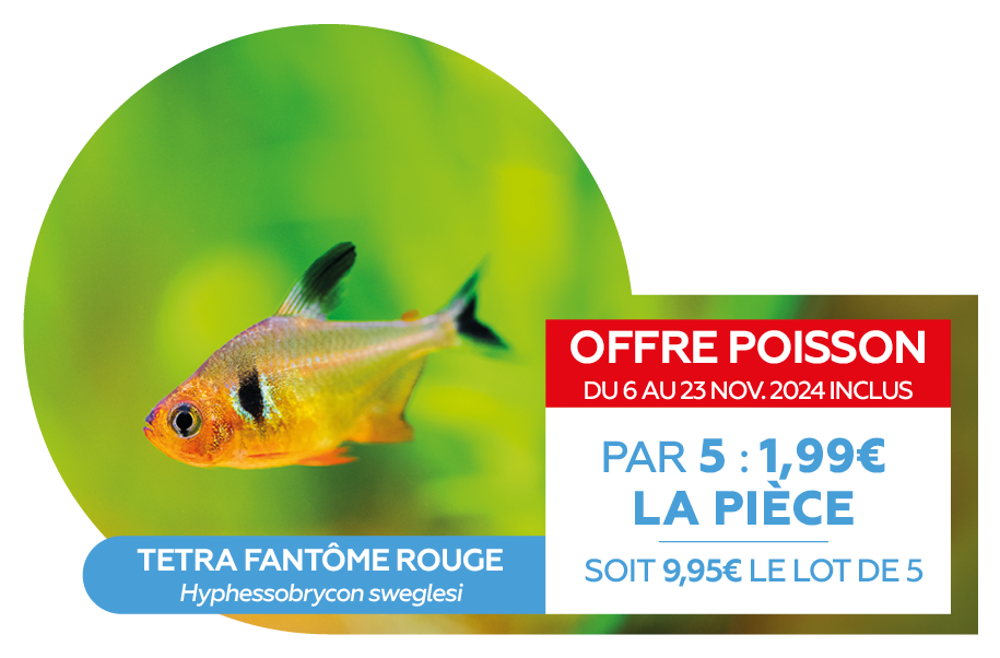 Offre poissons SEPT 20242.png