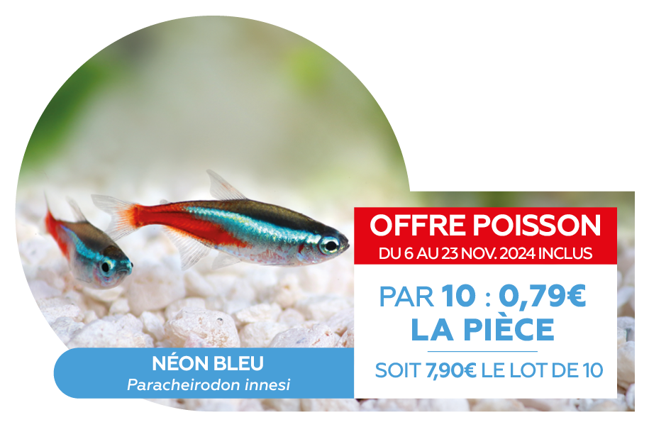 Offre poissons SEPTEMBRE.png