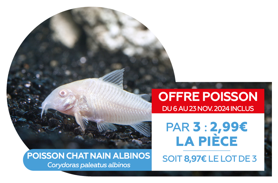 Offre poissons NOV 20246.png