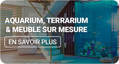 Les services de Nilufar : aquarium, terrarium et meuble sur mesure