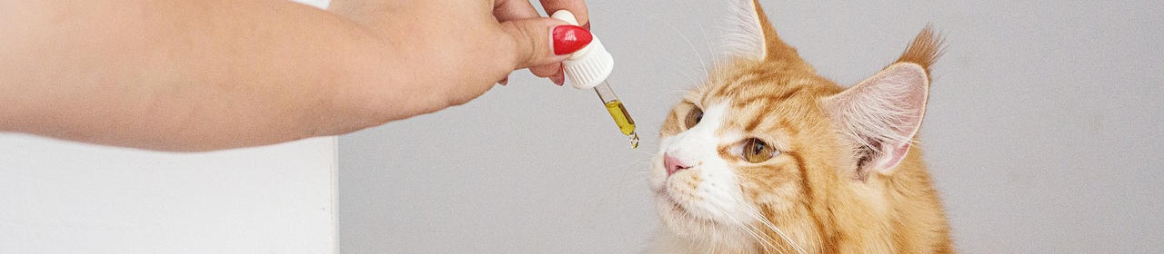 Complément Alimentaire Chien et Chat 'Huile de Saumon' Nobby