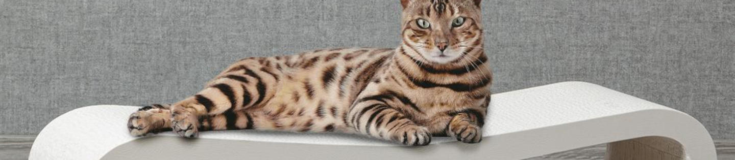Griffoir Orbit 2.0 Canadian Cat en carton ondulé