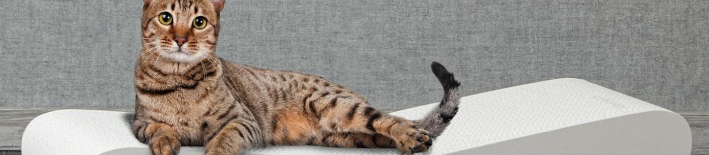 Griffoir pour chat Satellite 2.0 Canadian Cat en carton ondulé