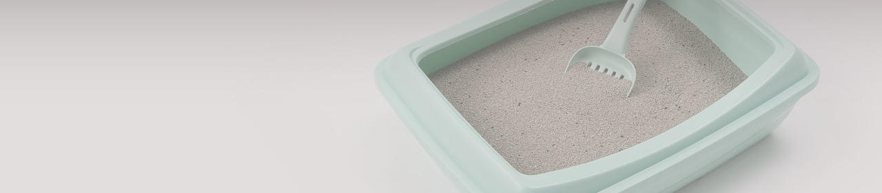 Litière pour Chat 'Sandy Extra Clumping Active Carbon'