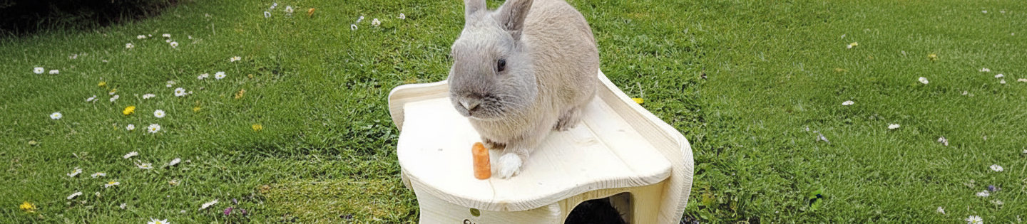 Maison d'Angle Rongeur Malaga Elmato