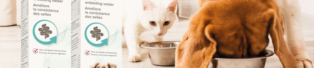 Pâte digestive IntestoPro Beaphar pour chien et chat
