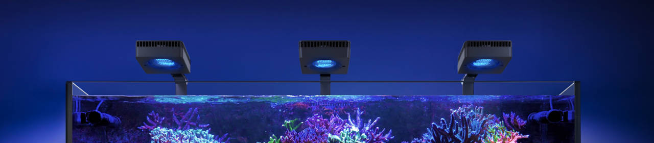 Pompe pour Aquarium ReefRun Red Sea