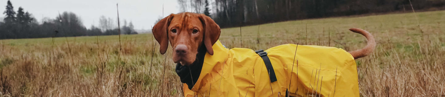 Veste imperméable légère de visibilité jaune PAIKKA