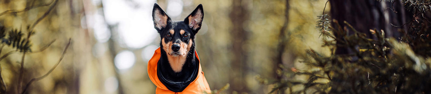 Veste imperméable réfléchissante récupération camouflage PAIKKA