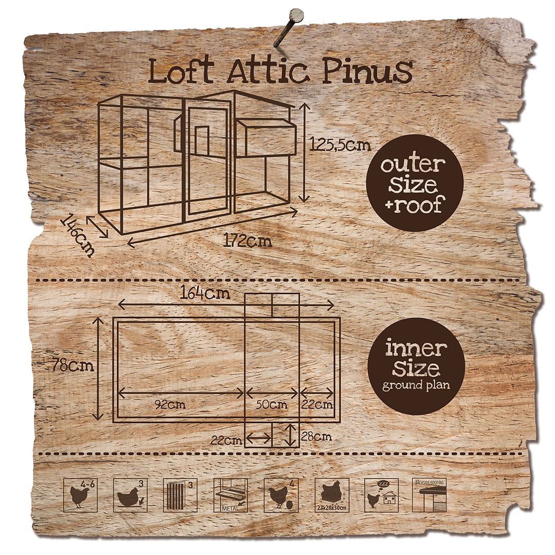 Poulailler loft attic pinus dimensions