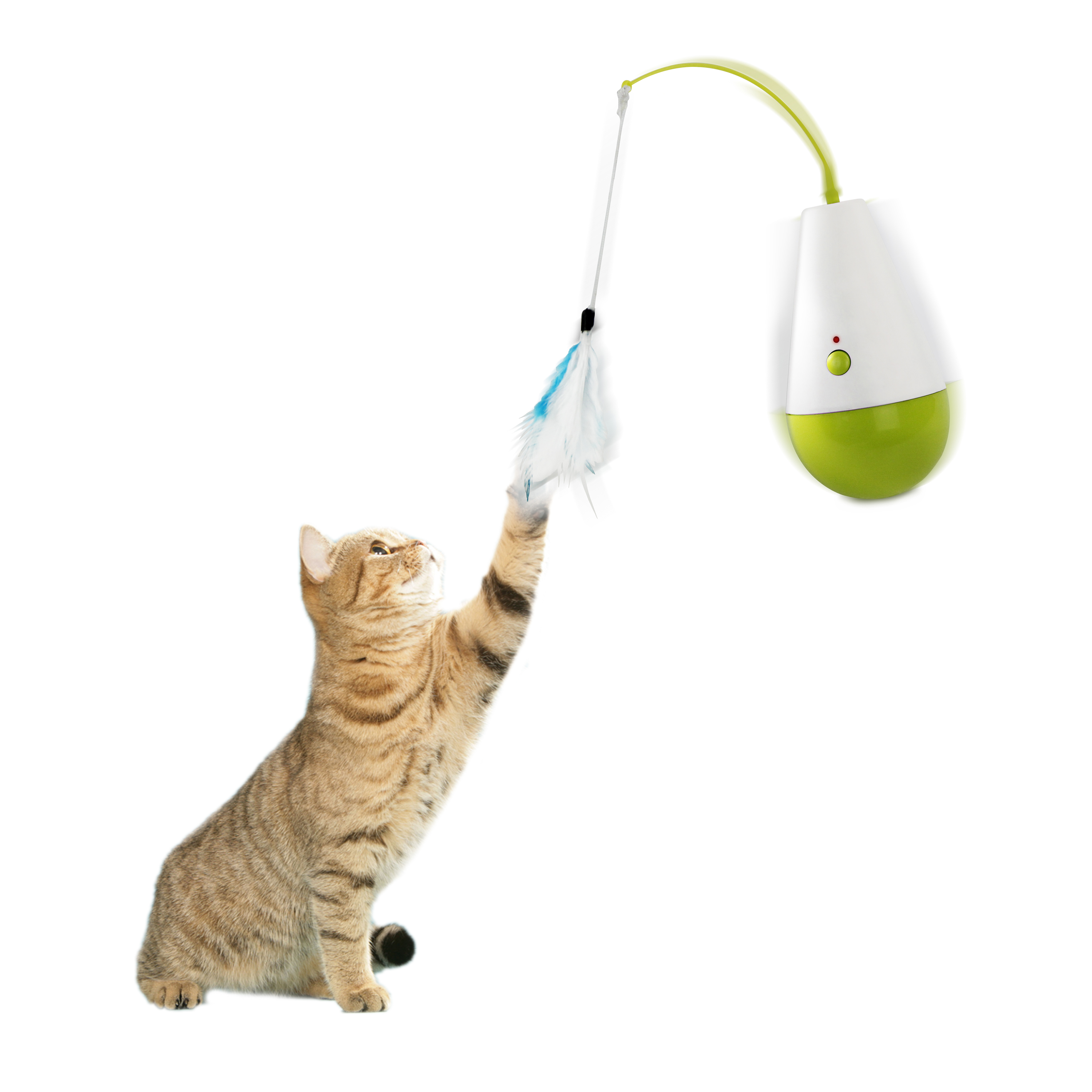jouet interactif pour chat avec plume culbuto all for paws