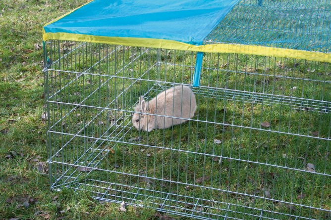 Enclos extérieur Kerbl pour lapin avec dispositif antifugue et protection solaire