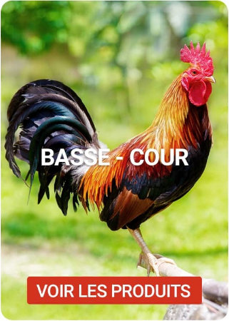 Découvrez nos produits pour basse-cour sur Nilufar