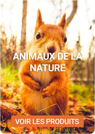 Découvrez nos produits pour animaux de la nature sur Nilufar