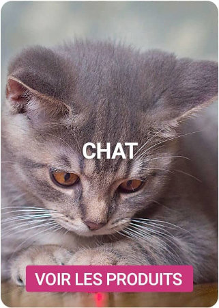 Découvrez nos produits pour chat sur Nilufar