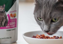 Découvrez les pâtées pour chat Équilibre & Instinct